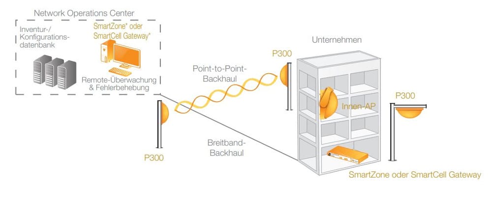 P300 Fallback P300 Fallback